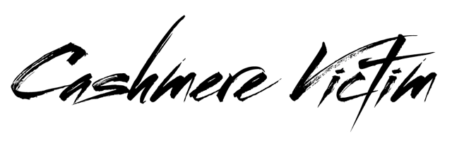 logo cv